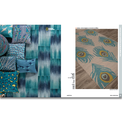 Jaipur Rugs catalog image